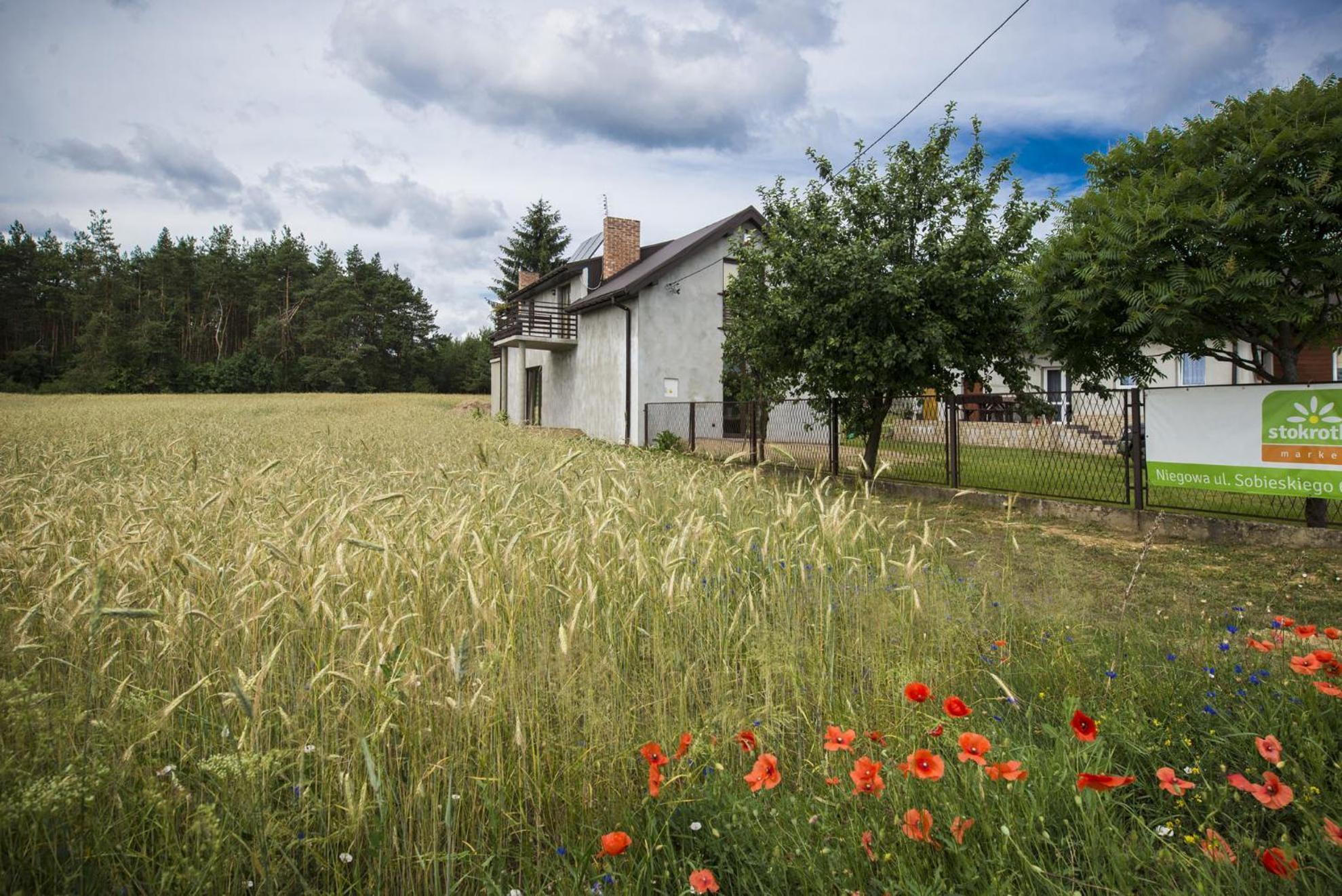 Jurajskie Pod Lasem Bobolice (Myszkow)
